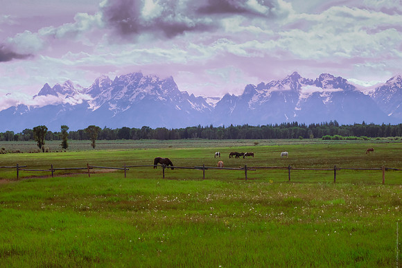 grand tetons, wyoming | 2020