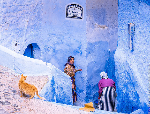 ladies and the cat | chefchaouen, morrocco | 2017