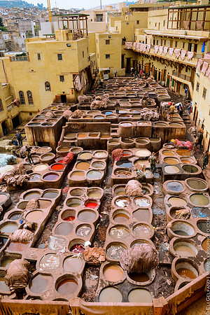leather tannery | fes, morrocco |2017