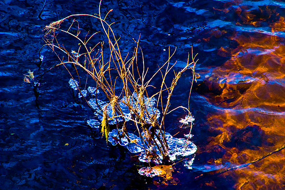 the charles | watertown | 2009