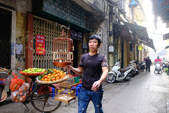 papageno | hanoi, vietnam | 2019