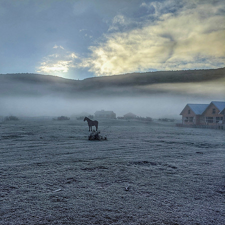 dawn. frost. horse. | rio cerrano, chile | 2019