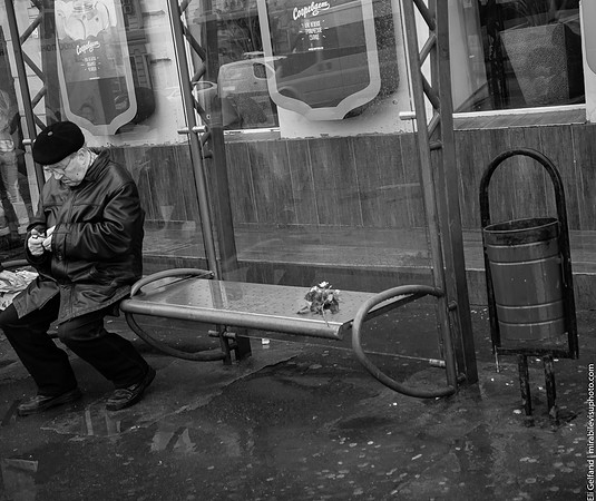 veteran | moscow | 2013