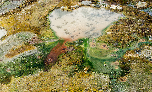 hot springs | furnas, azores | 2013