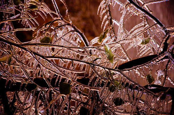 canyon carillon | zion national park, utah | 2010
